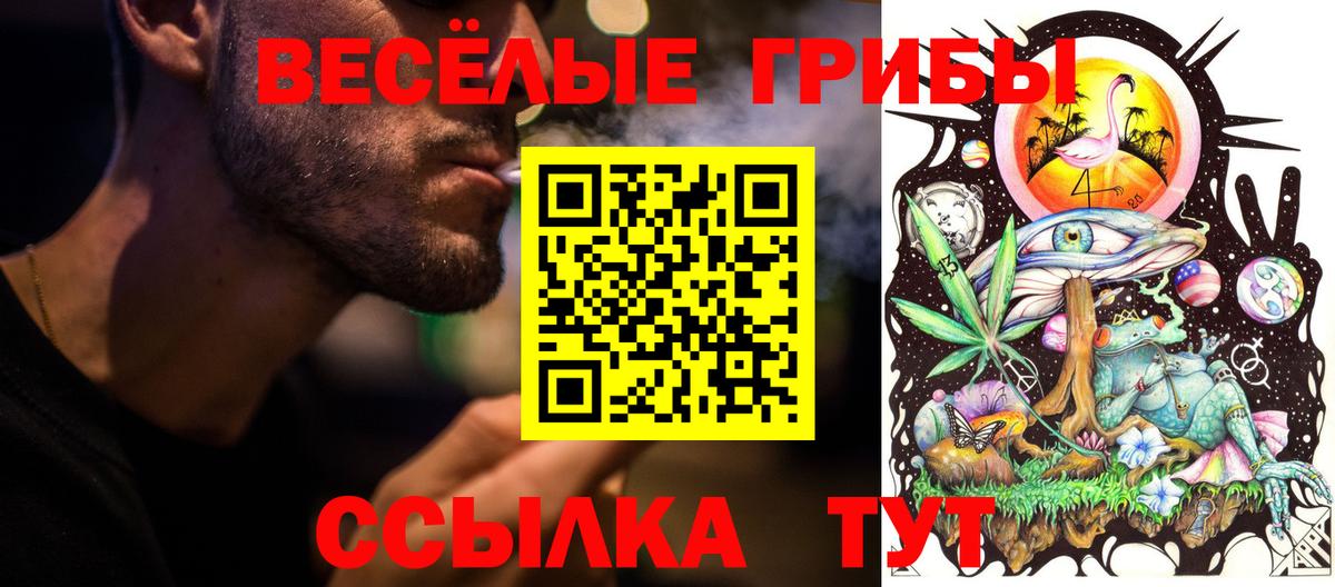 Псилоцибиновые грибы Psilocybine cubensis  Галлюциногенные грибы Psilocybine cubensis  Вход с VPN  Скопин 